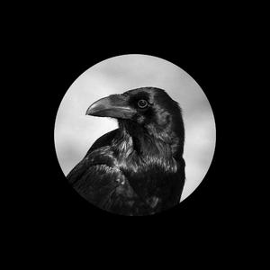 PLAYBOY走光福利视频
