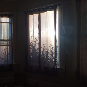 PLAYBOY走光福利视频
