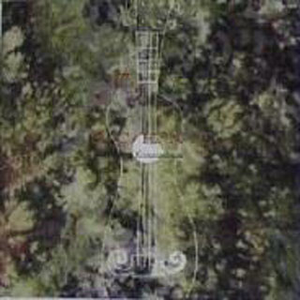 PLAYBOY走光福利视频
